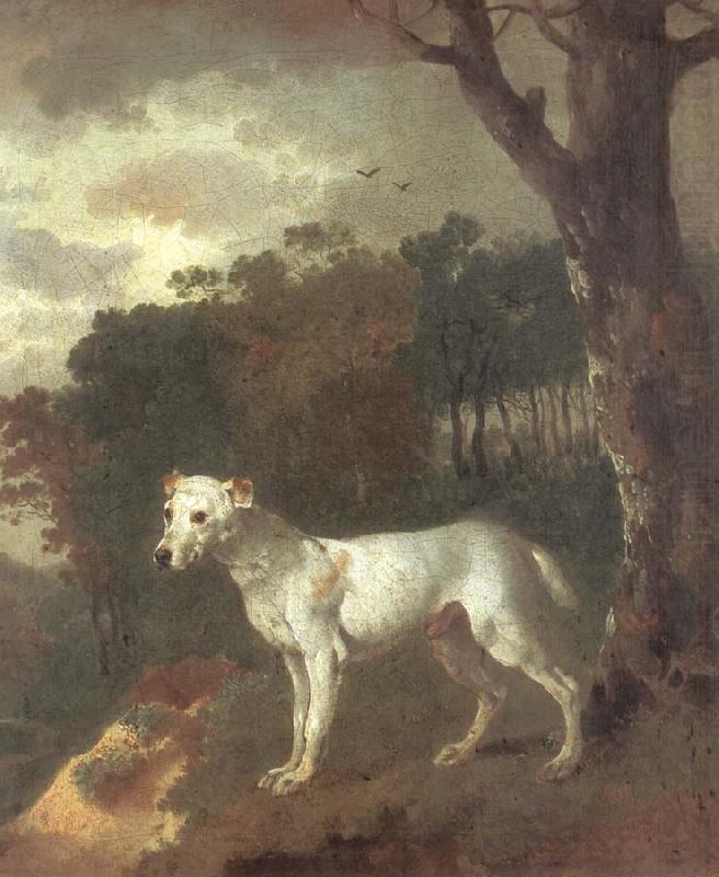 Thomas Gainsborough Bumper,a Bull Terrier china oil painting image